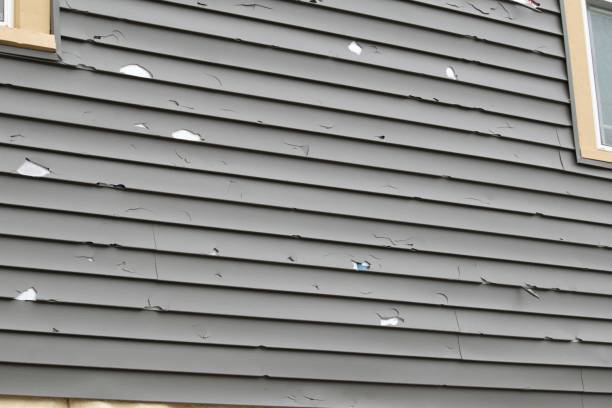 Best Composite Siding  in Burlington, ND